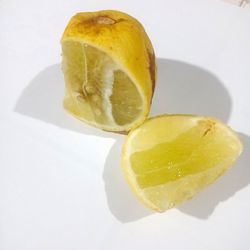 High angle view of lemon slice in plate