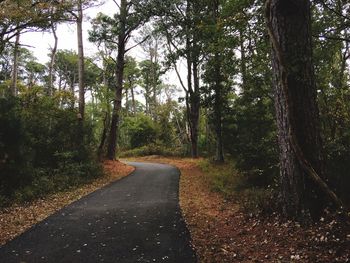 Road amidst trees in forest