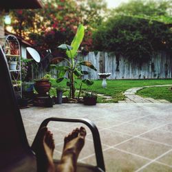 Low section of person in potted plants