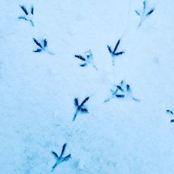 High angle view of ice in snow