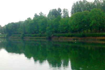 Reflection of trees in lake