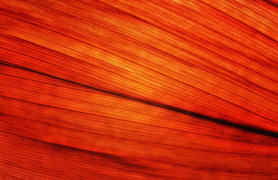 Full frame shot of wood