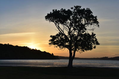 Silhouette tree by sea against sky during sunset