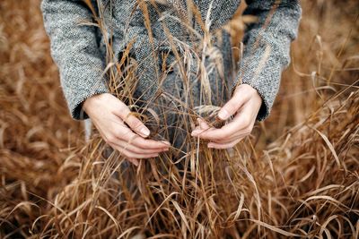 Midsection of man holding corn field