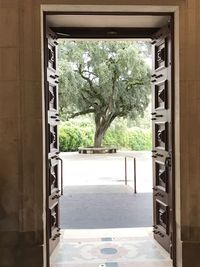 Trees and building seen through open window of house