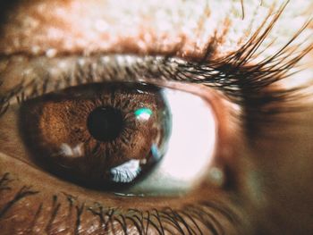 Close-up of human eye