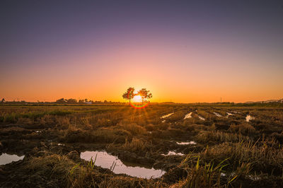 Scenic view of field against clear sky during sunset