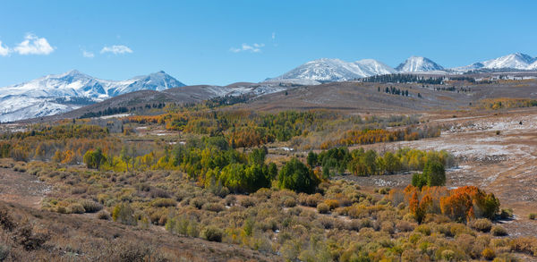 Panorama of