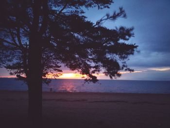 Silhouette trees on beach against sky during sunset