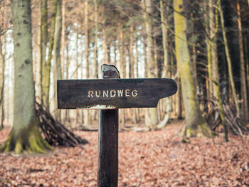 Information sign on tree trunk in forest