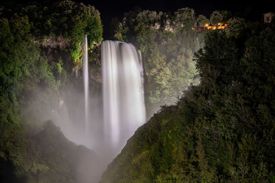 Scenic view of waterfall in forest