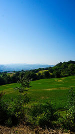 Scenic view of landscape against clear blue sky