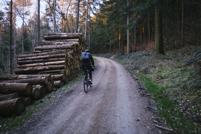Rear view of woman riding bicycle on road in forest