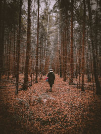Rear view of person walking in forest during autumn