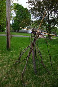 Trees on field