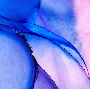 Detail shot of blue flower