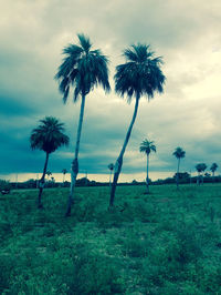Scenic view of grassy field against cloudy sky