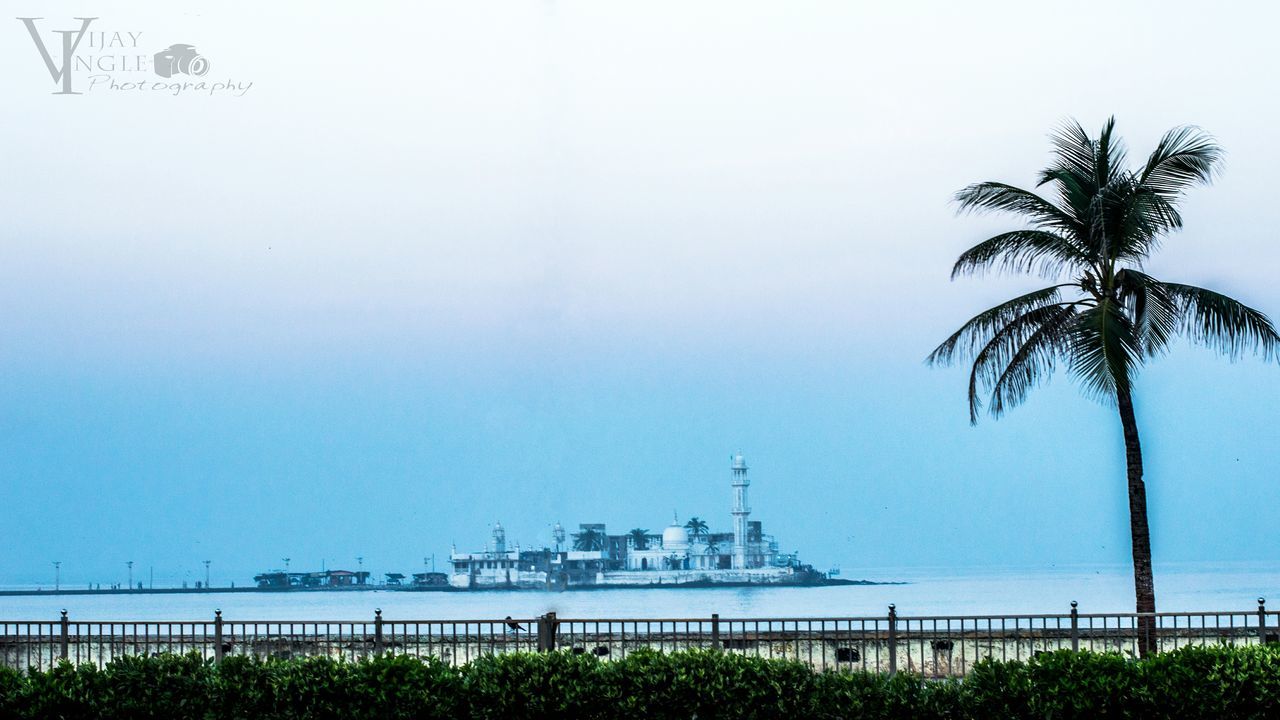 sea, water, palm tree, tree, horizon over water, clear sky, copy space, tranquility, beach, tranquil scene, nature, scenics, sky, beauty in nature, growth, shore, outdoors, day, no people, built structure