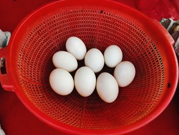 High angle view of eggs in container