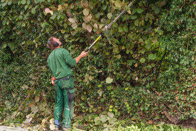 Rear view of worker trimming plants with hedge trimmer