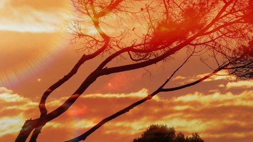 Silhouette of tree against cloudy sky