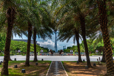 Trees in park against sky