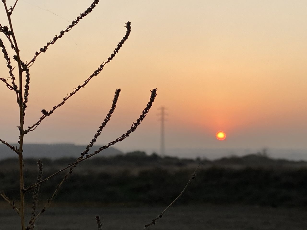 sunset, sky, nature, no people, beauty in nature, wire, sunlight, tranquility, scenics - nature, evening, focus on foreground, silhouette, environment, landscape, outdoors, tranquil scene, land, sun, dusk, barbed wire, orange color, fence, security, protection, branch, horizon, twilight, water, plant