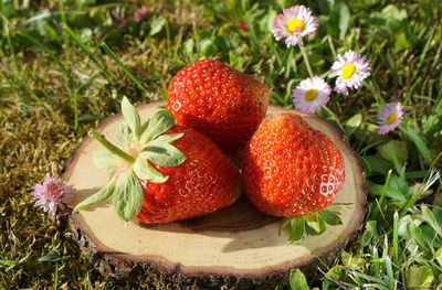 Close-up of strawberries in container on field