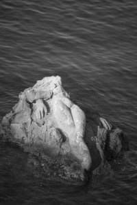 Rock formation in sea