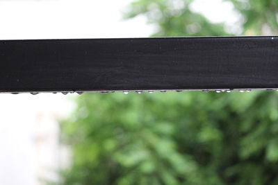 Close-up of raindrops on wood