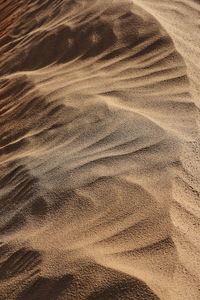 0377 early morning light over barchans-moving sand dunes of the taklamakan desert. xinjiang-china.