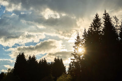 Low angle view of silhouette trees against sky during sunset