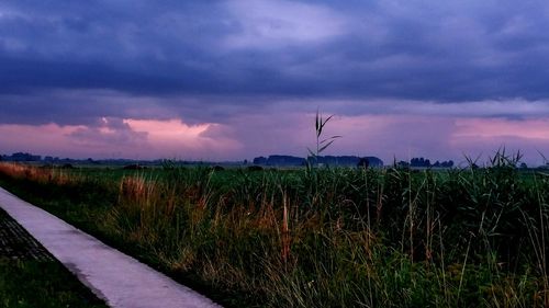 Scenic view of field against sky