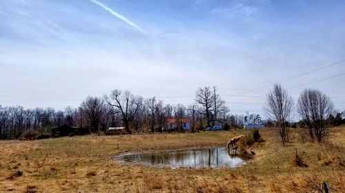 Bare trees on landscape against sky