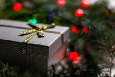 Close-up of christmas tree
