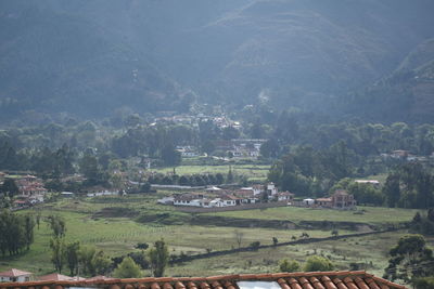 High angle view of agricultural field