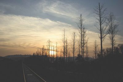 Railroad tracks with bare trees at dusk