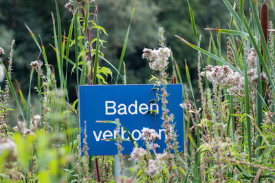 Warning sign amidst flowering plants