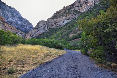 scenics - nature