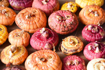 Full frame shot of pumpkins