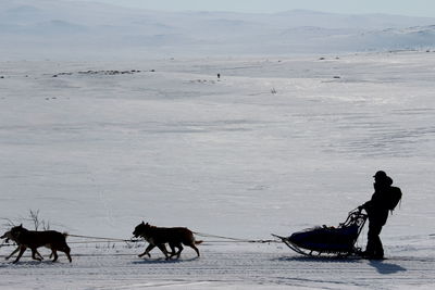 Man sledding on snow covered field