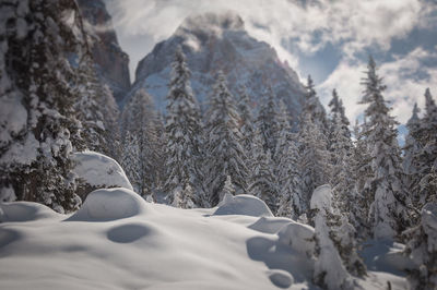 Scenic view of snow covered mountains