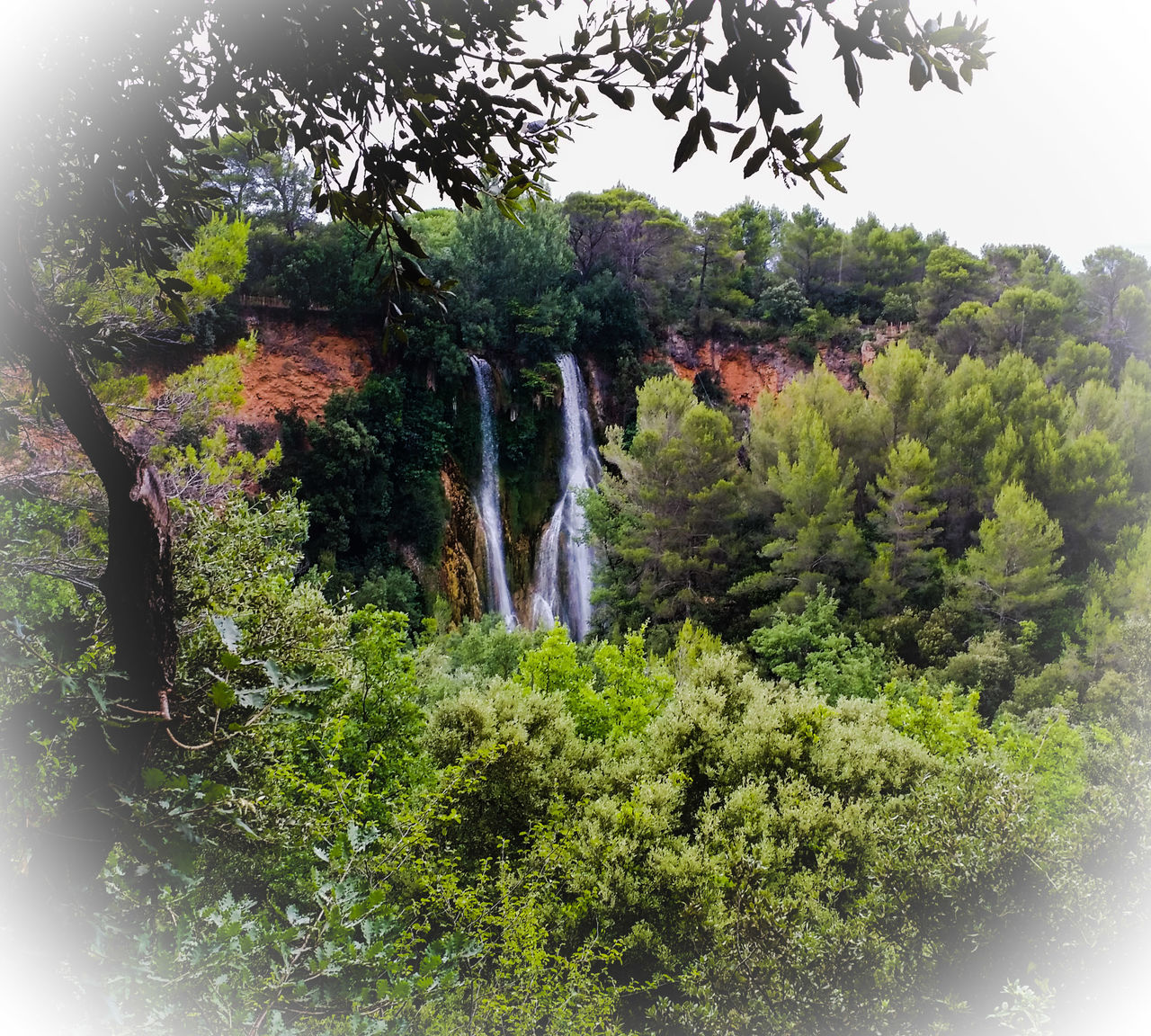 tree, growth, green color, nature, beauty in nature, plant, tranquility, waterfall, scenics, forest, lush foliage, low angle view, branch, tranquil scene, green, sunlight, idyllic, day, outdoors, no people