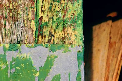 Close-up of weathered wood on tree trunk