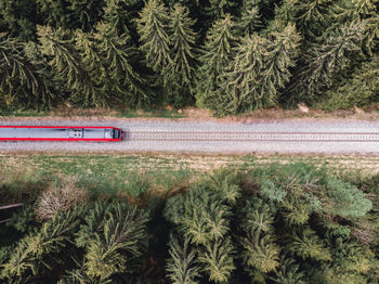 Aerial view of train amidst trees 