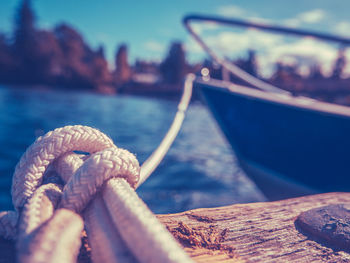 Close-up of turtle against sky