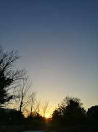 Silhouette trees against sky during sunset