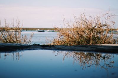 Scenic view of lake against sky