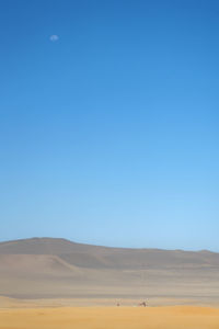 Scenic view of field against clear blue sky