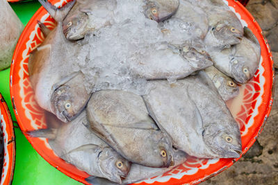 High angle view of fish for sale in market